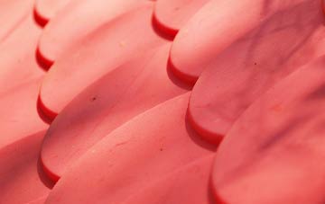 Darite plastic roof costs